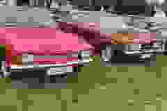 ASVG0920