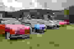 PJKG1517